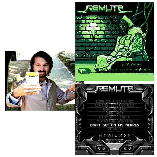 Remute Living Electronics 自作ゲームボーイカートリッジによる新アルバム『Living Electronics』