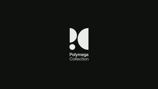 Polymega コレクション Vol.13 戦国ブレード ポリメガ 専用ゲームソフト 【数量限定/初回特典付き】【2個以上まとめ買い送料無料対象商品】【予約受付中】
